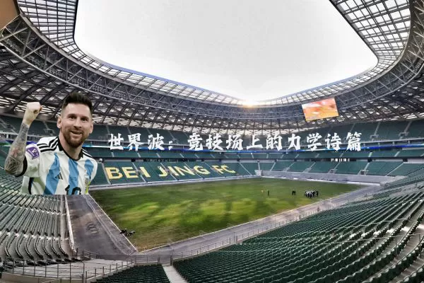 世界波:竞技场上的力学诗篇